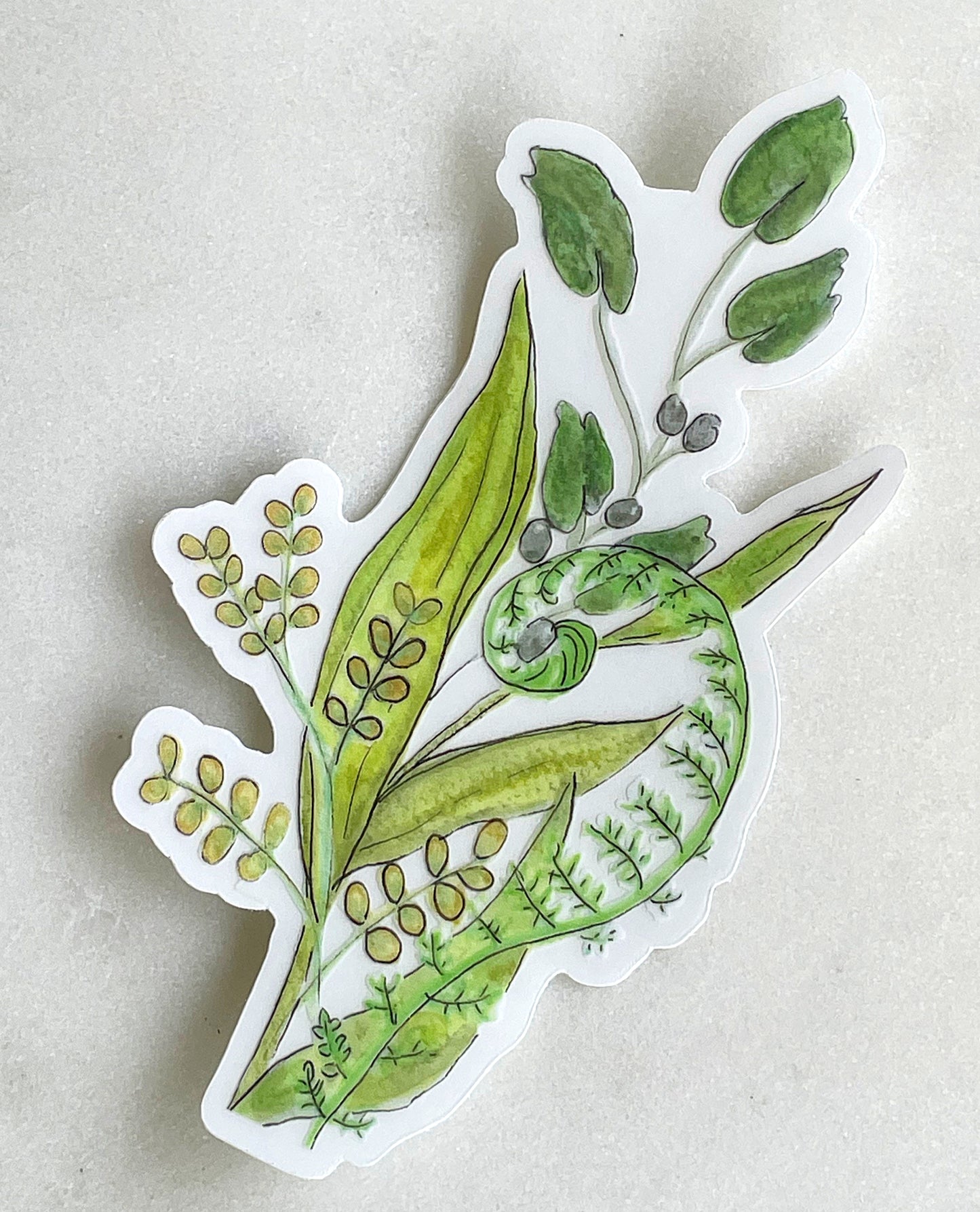 Greenery and Fiddlehead fern Vinyl waterproof sticker