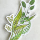 Greenery and Fiddlehead fern Vinyl waterproof sticker