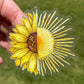 Sun and Sunflower watercolor clear vinyl waterproof sticker