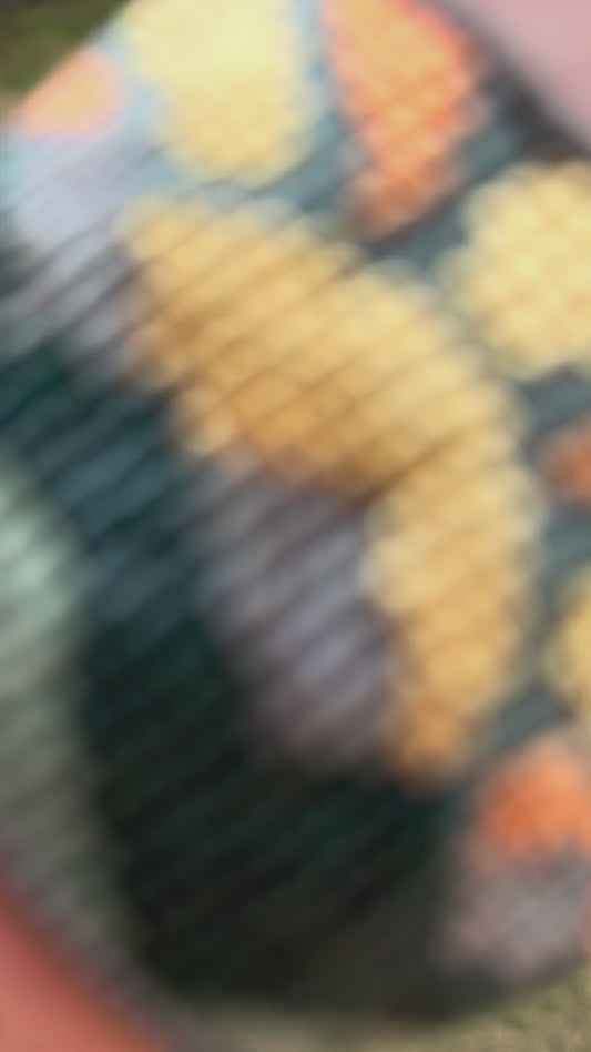 Mountain Sunshine bead loom woven bracelet